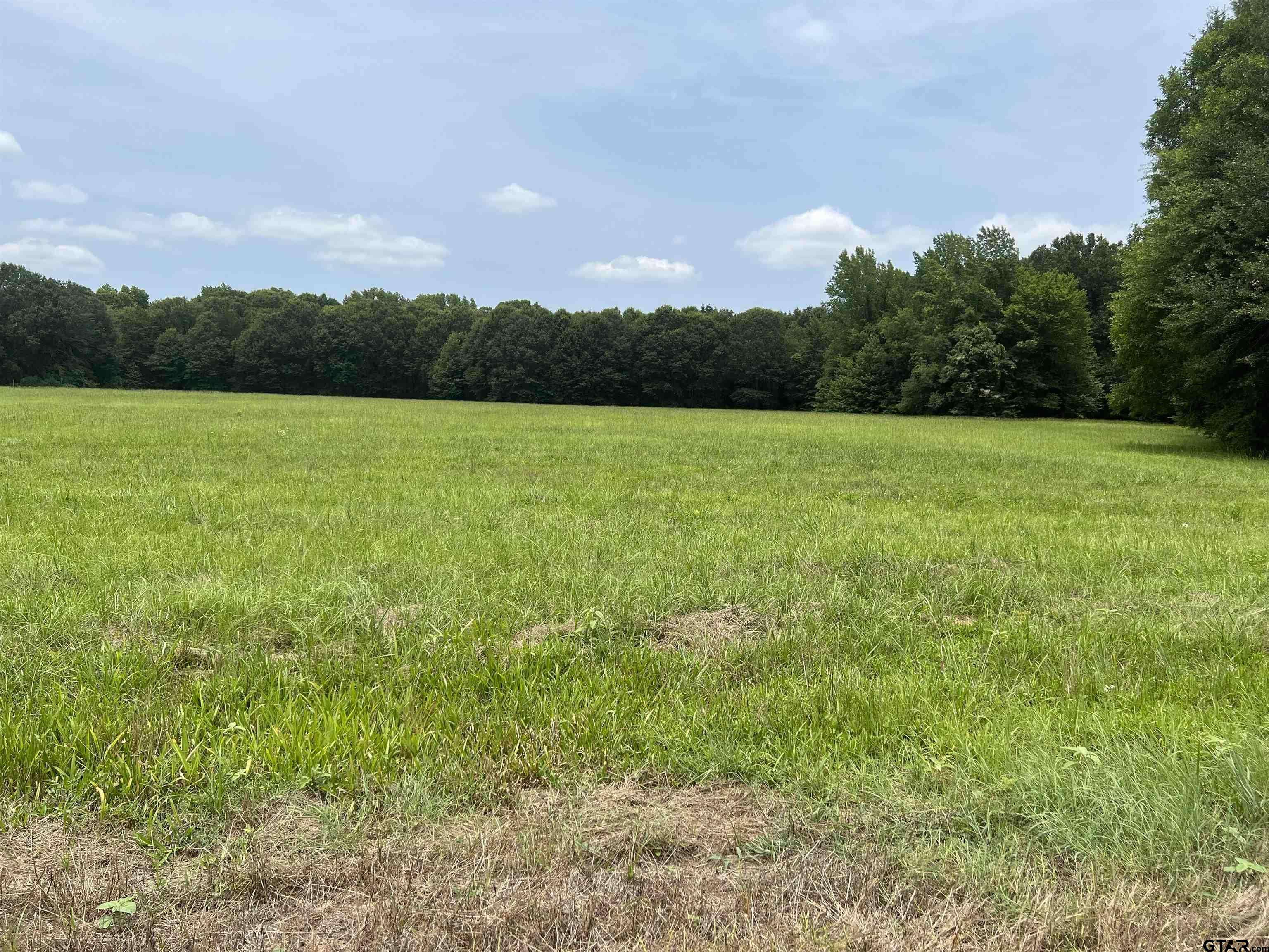 Mt Vernon, TX 75457,TBD CR 4130