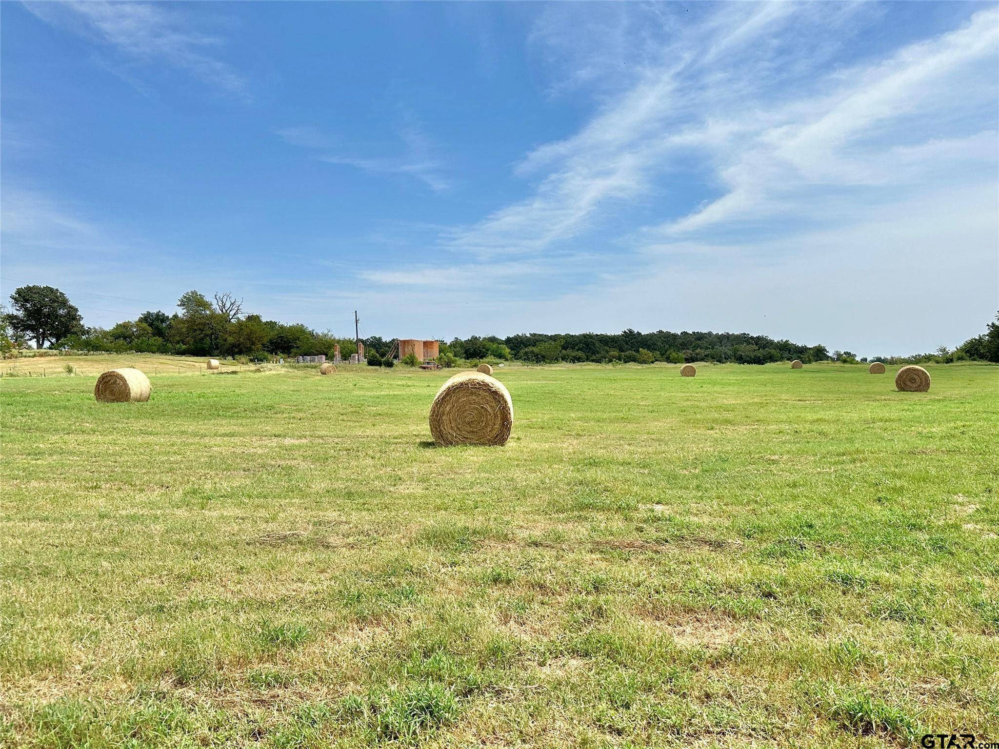 Pickton, TX 75471,0000 County Road 2391