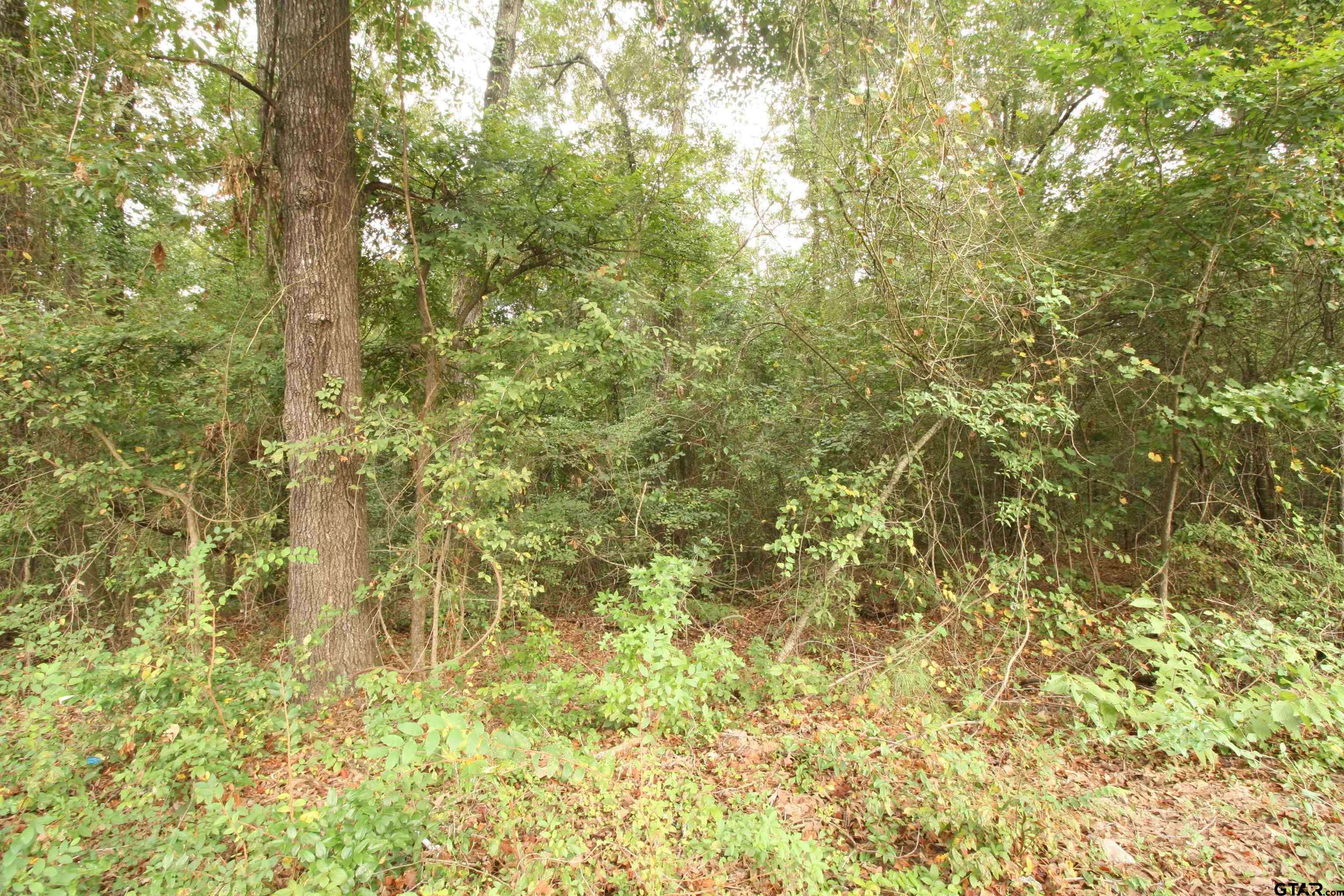 Gilmer, TX 75644,Lot 294 Eastwood Dr