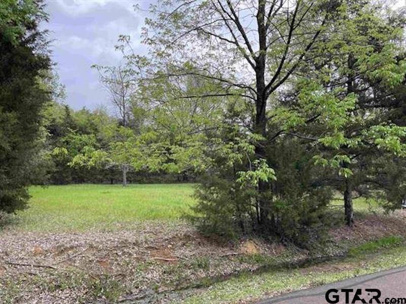 Mt Vernon, TX 75457,Lot 61 Cypress Circle