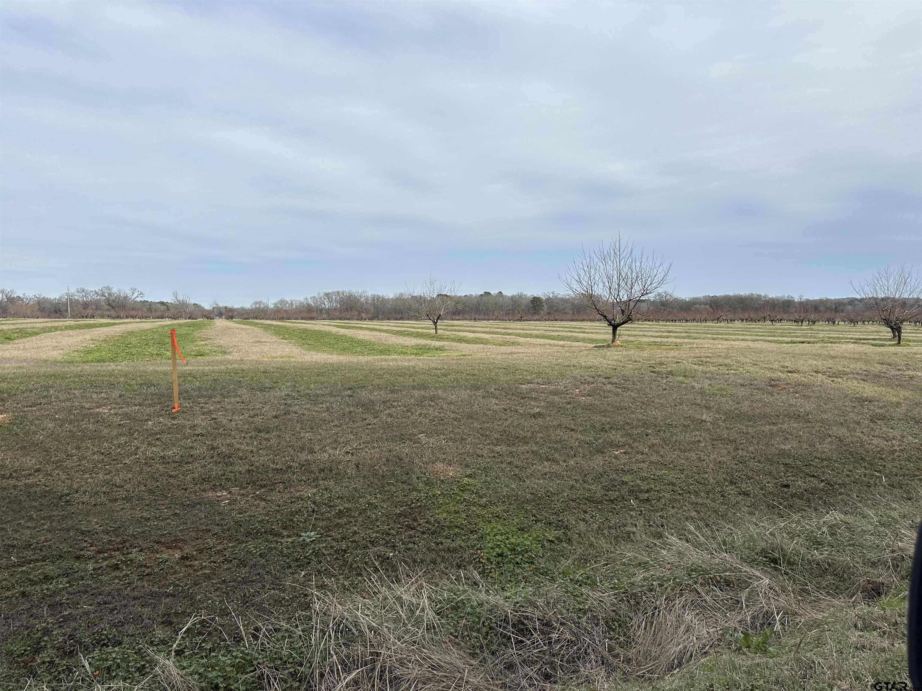 Pittsburg, TX 75686,Lot 3 CR 4230