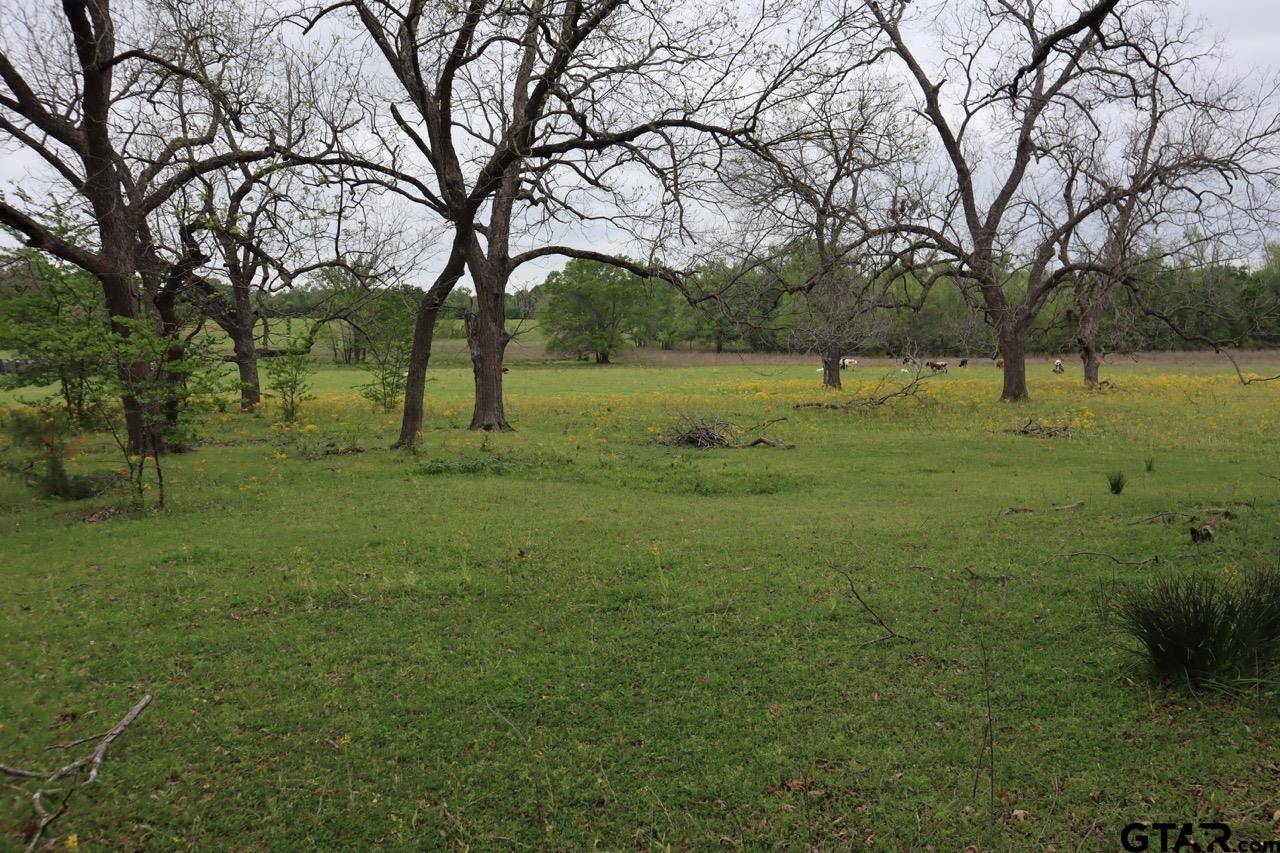 Alba, TX 75410,TBD Rs County Road 2365