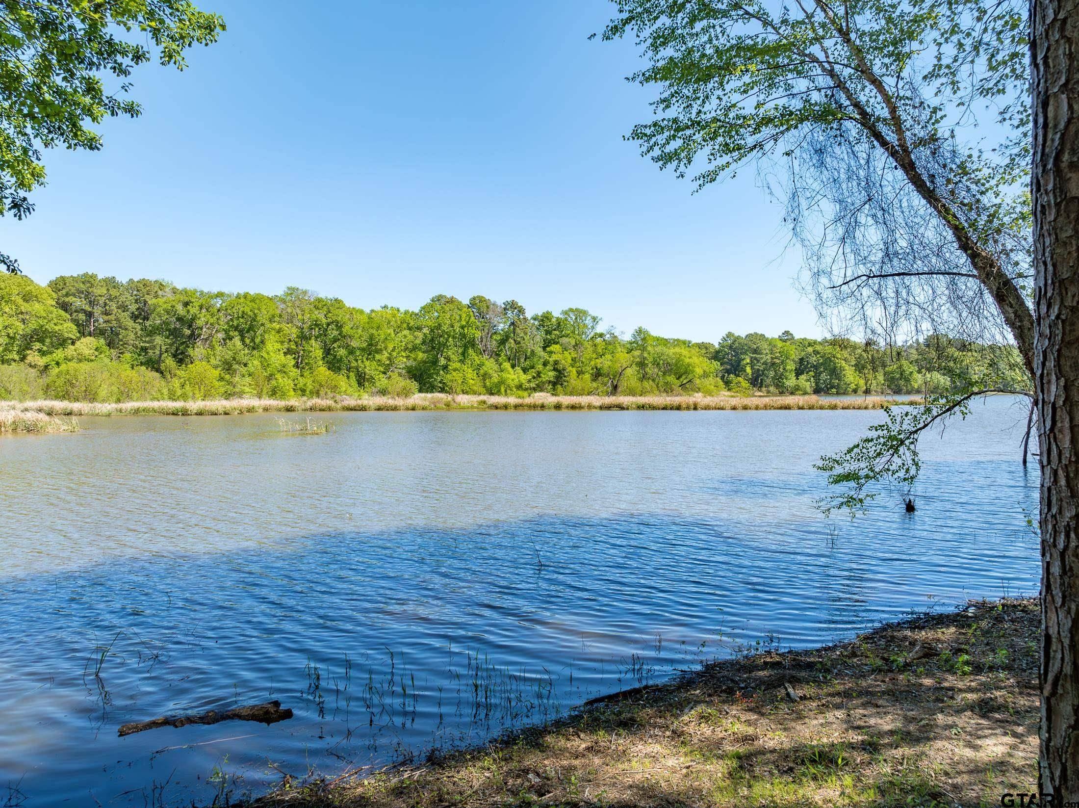 Chandler, TX 75758,TBD FM 3506