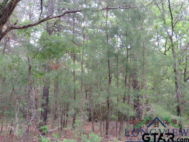 Henderson, TX 75652,TBD CR 203