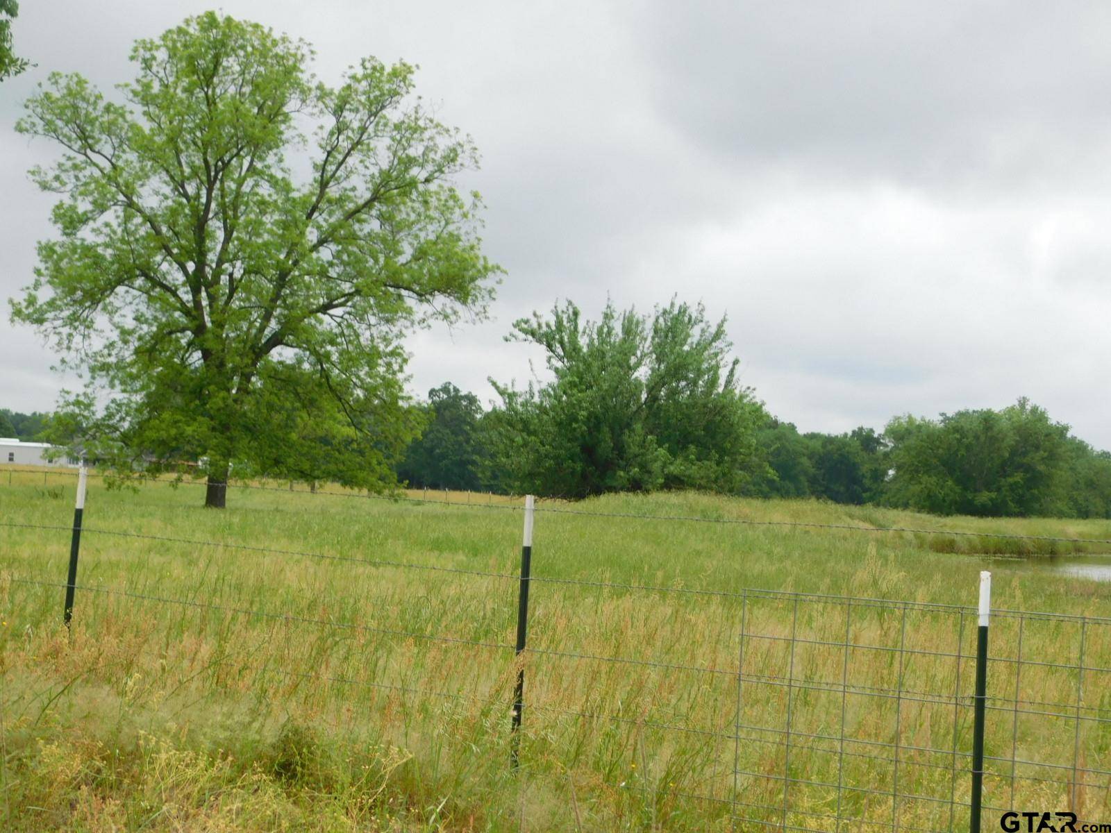 Yantis, TX 75497,TBD CR 1370