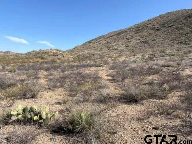 Terlingua, TX 79852,27236 Lake Ament- Christmas Wells Tank tract