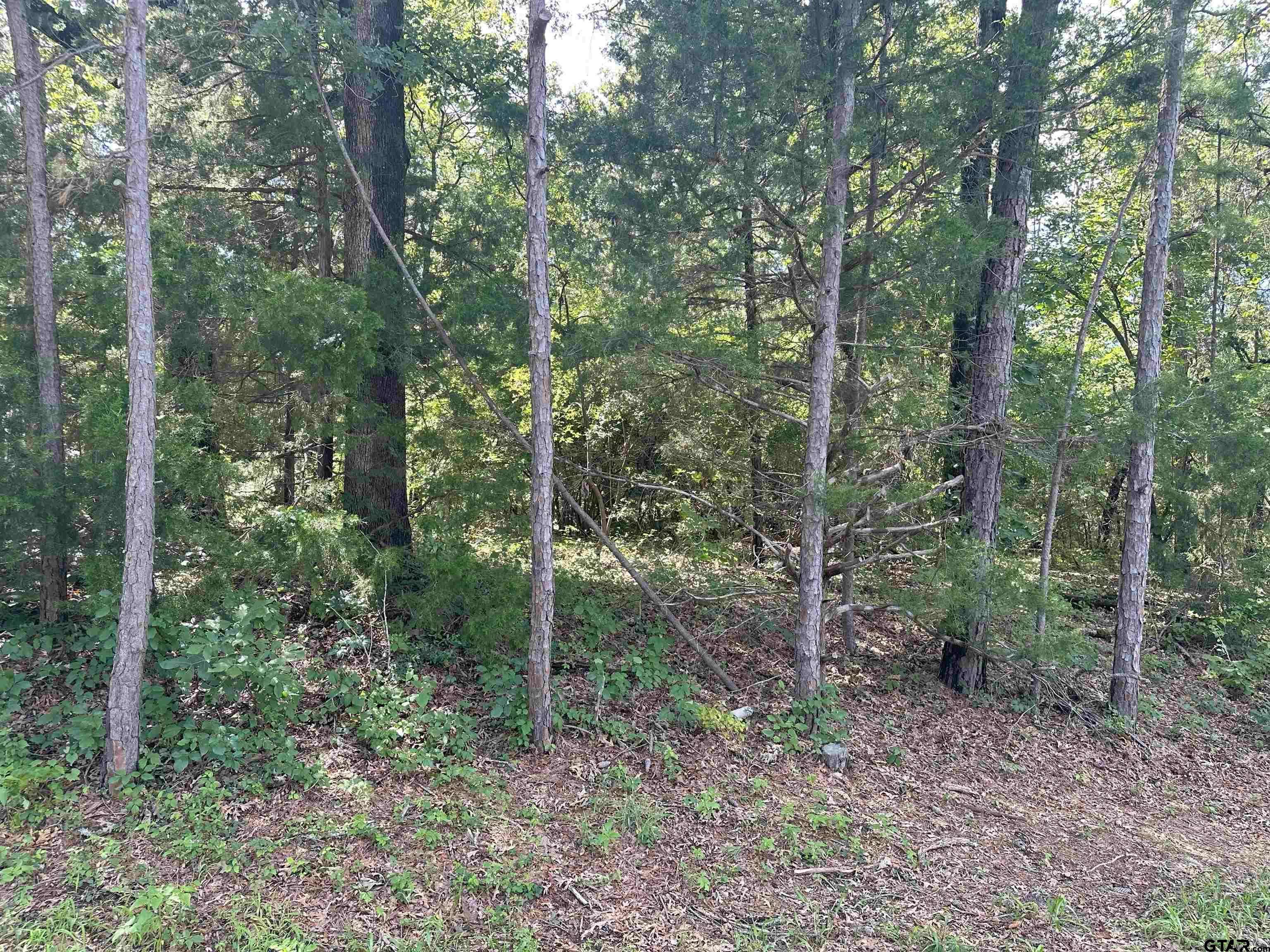 Bullard, TX 75757,tbd Cumberland Way
