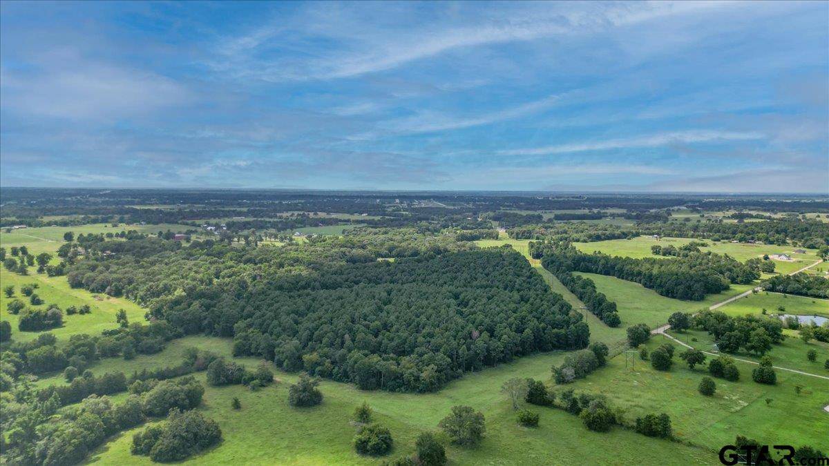 Van, TX 75790,TBD VZ COUNTY ROAD 4518