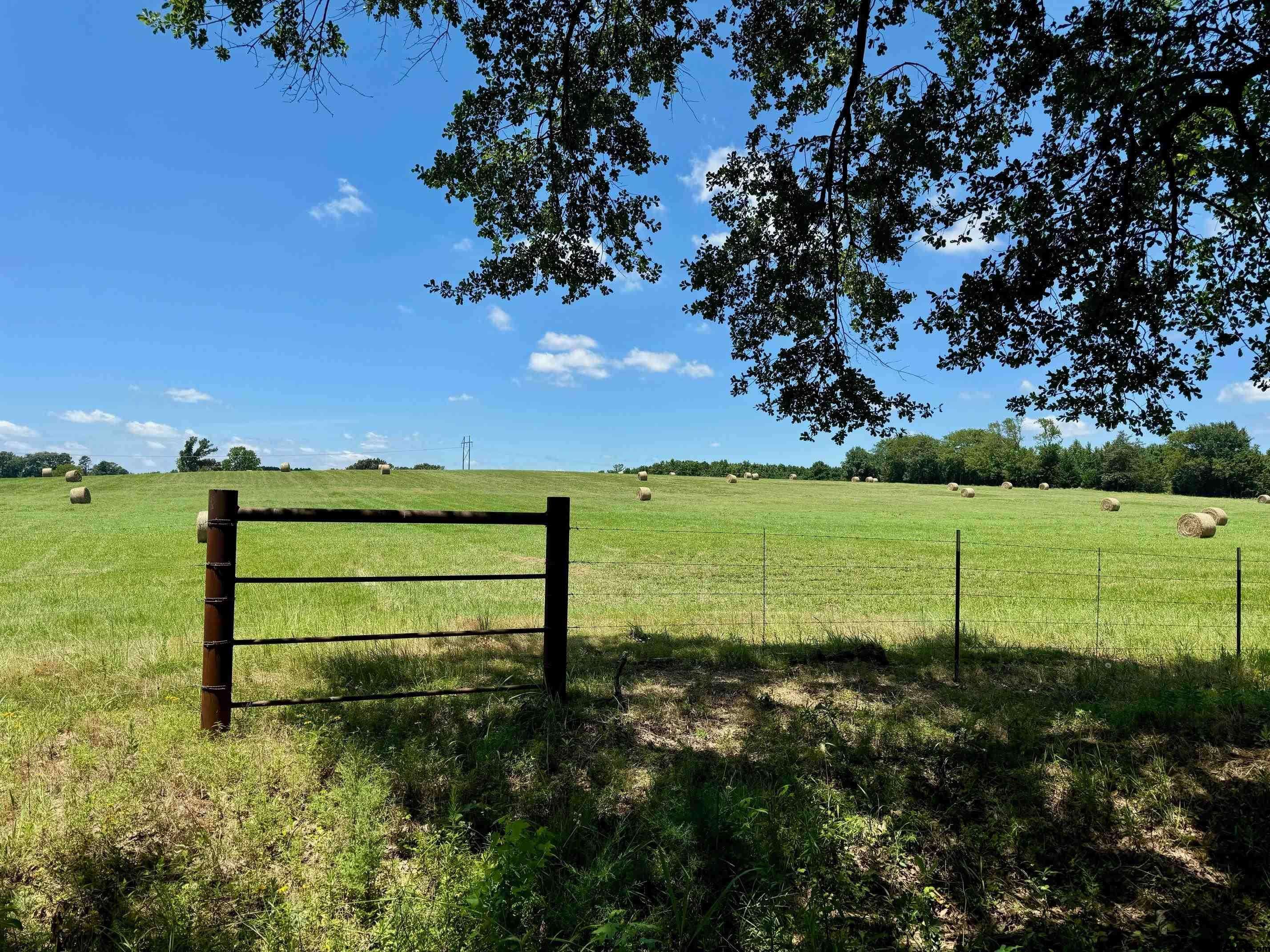 Mt Pleasant, TX 75455,TBD CR 4230