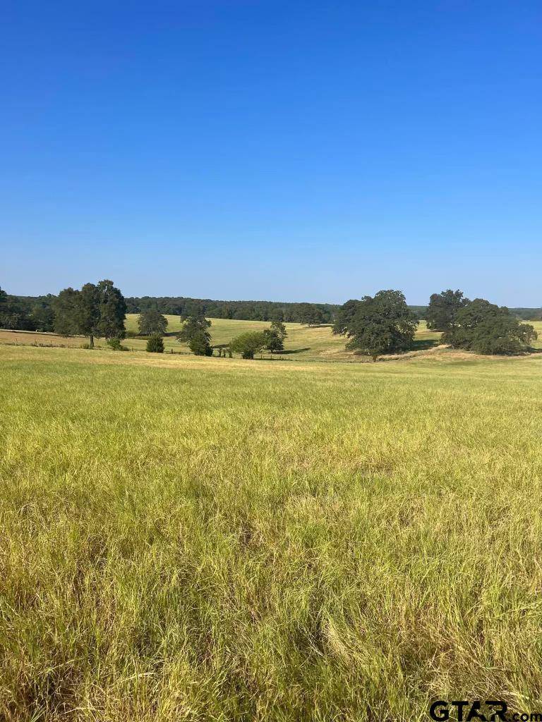 Troup, TX 75789,TBD CR 3812 (Tract 8)