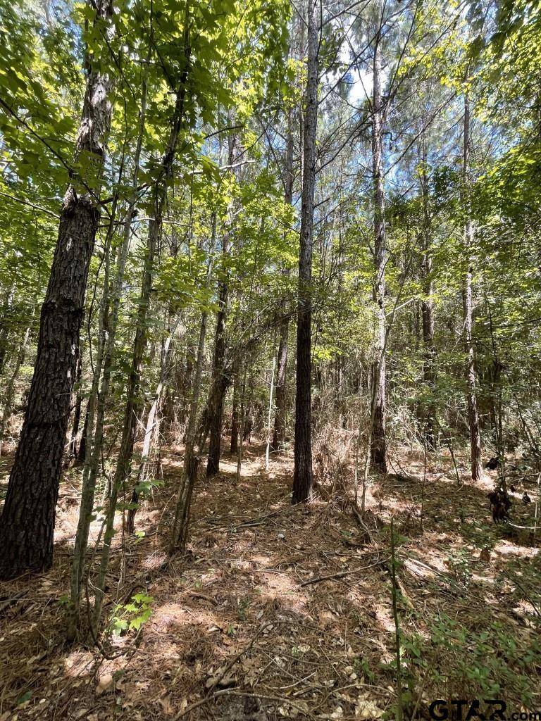 Timpson, TX 75975,TBD FM 947