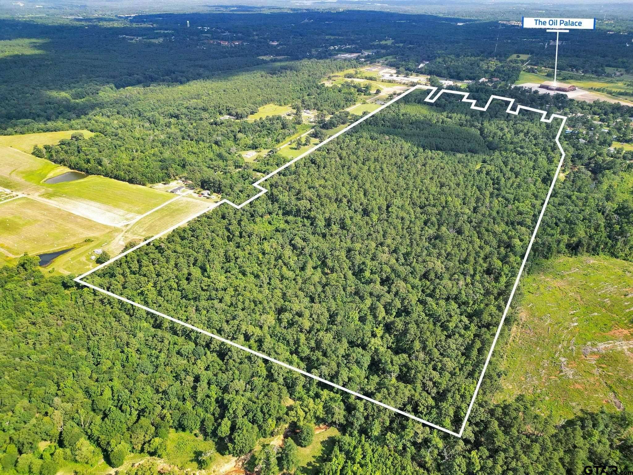 Tyler, TX 75707,10114 C R 272