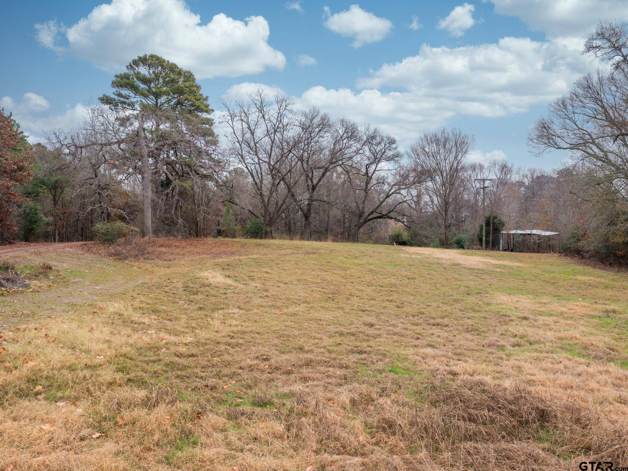 Chandler, TX 75758,3.938 Acres on CR 3202