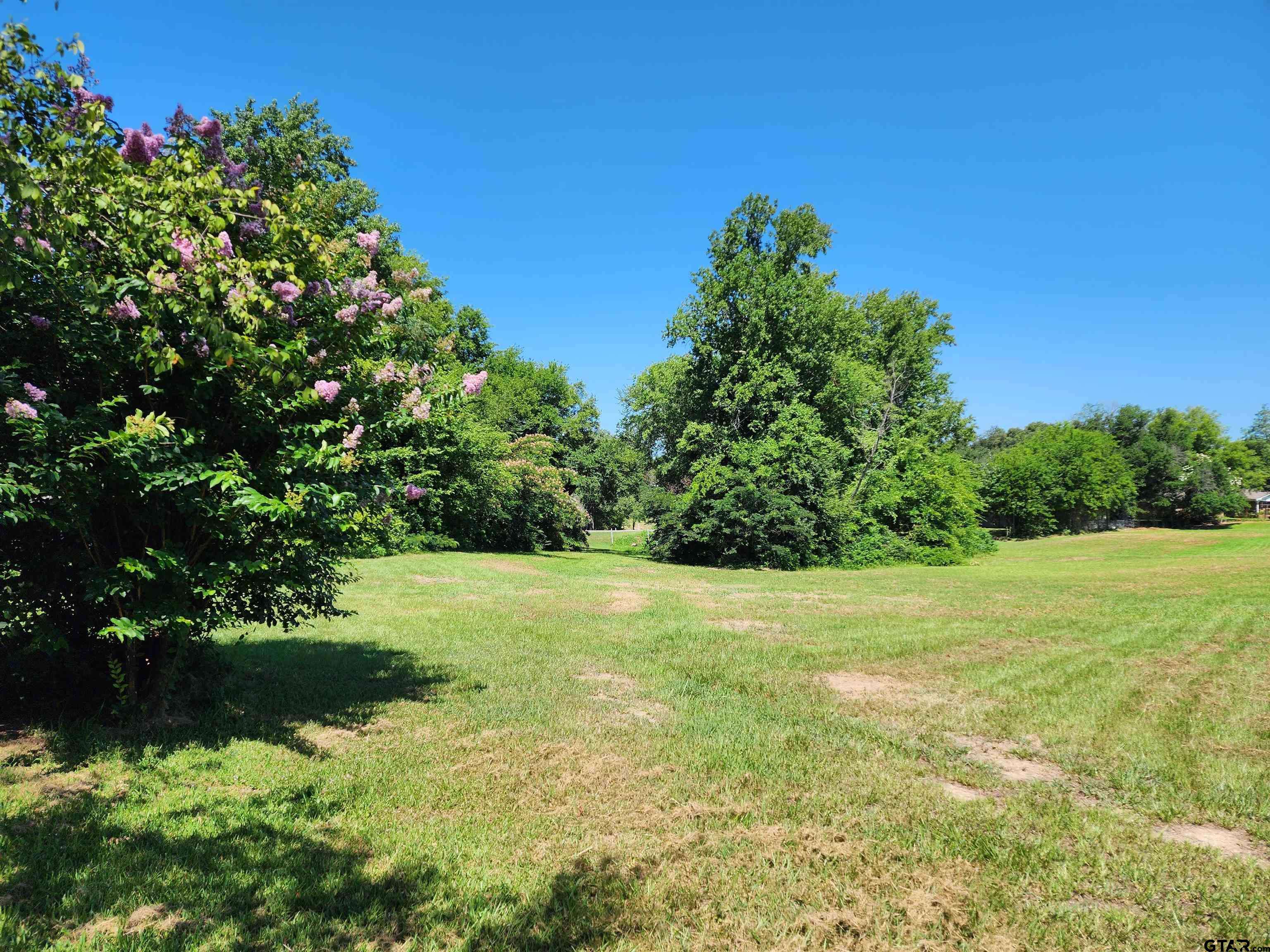 Mineola, TX 75773,TBD Greenville Highway