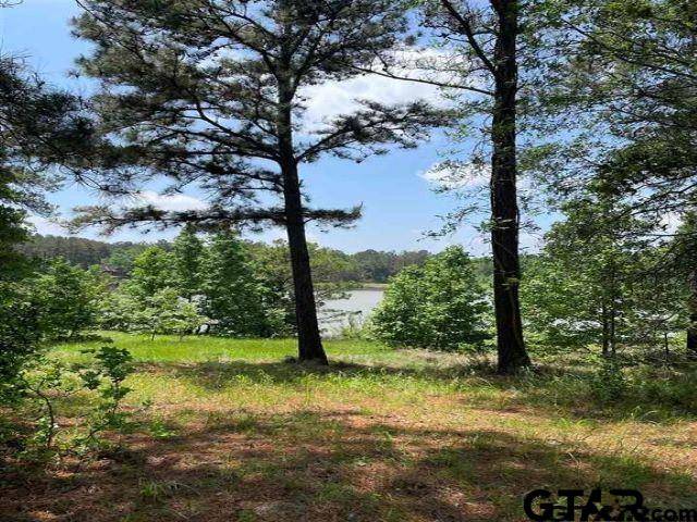 Montalba, TX 75853,Lot 12 ACR 450