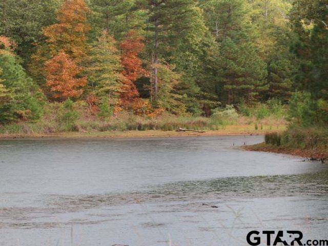 Montalba, TX 75853,Lot 13 ACR 450