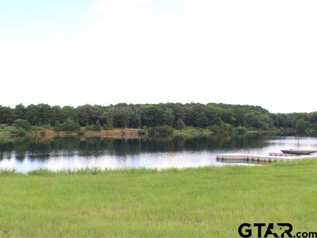 Montalba, TX 75853,Lot 24 ACR 453
