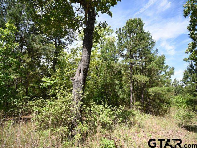 Montalba, TX 75853,Lot 33 ACR 453