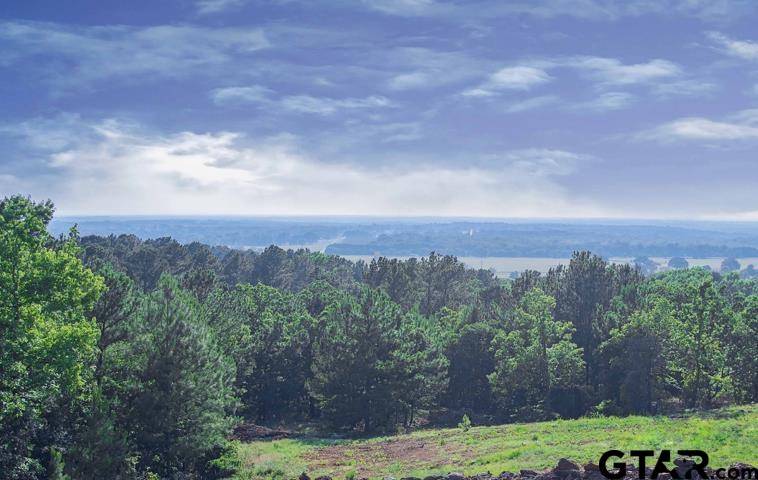 Montalba, TX 75853,Lot 36A ACR 453