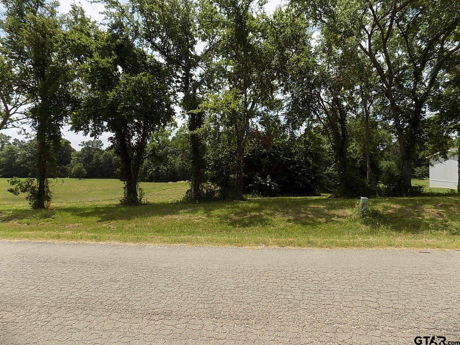 Quitman, TX 75783,Lot 6 & 7 Indian Gap