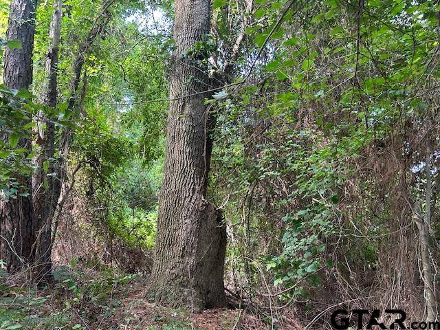 Jacksonville, TX 75766,TBD US Hwy 175 W