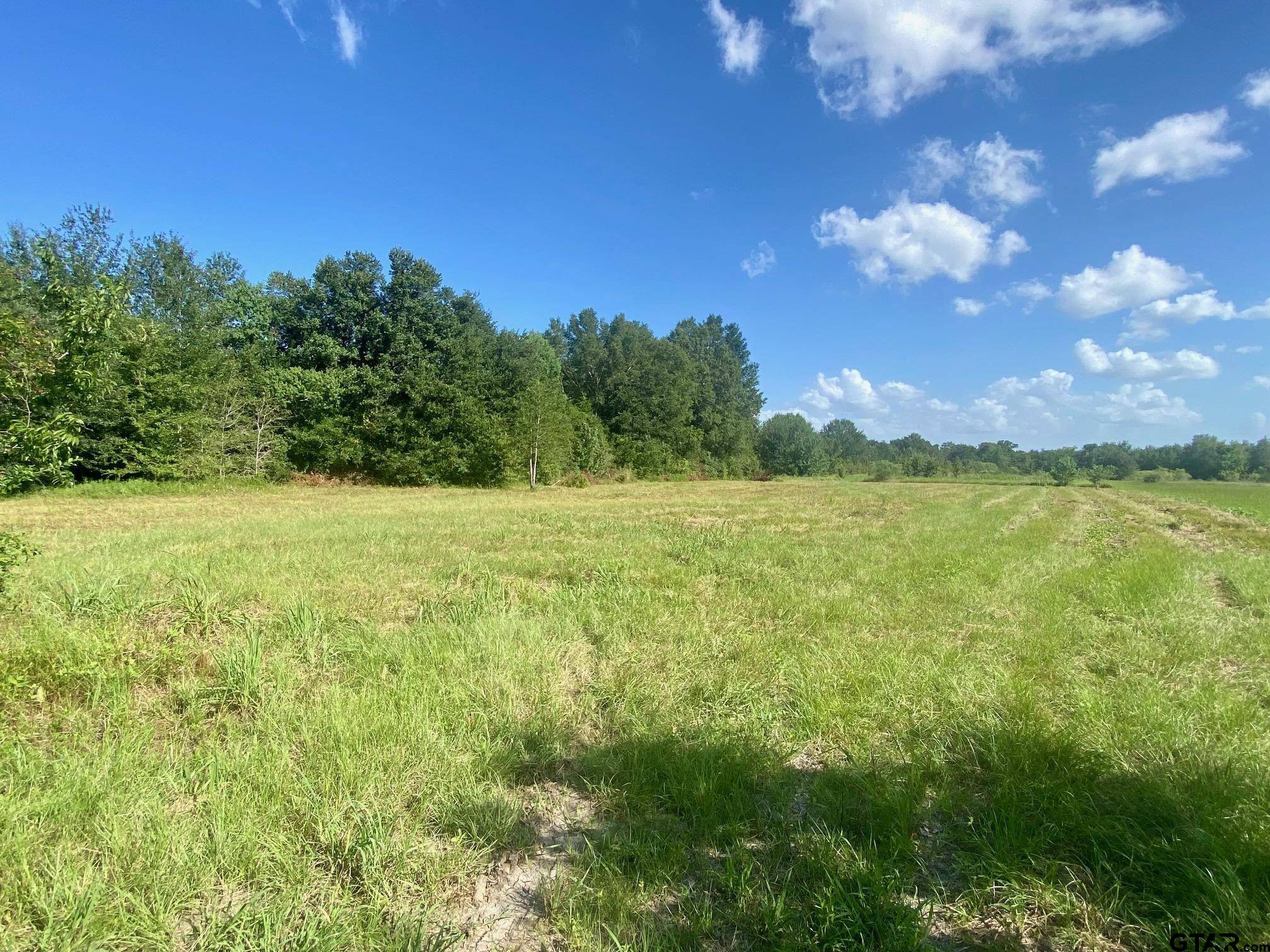 Crockett, TX 75835,Lot #135 JB McDuff Drive