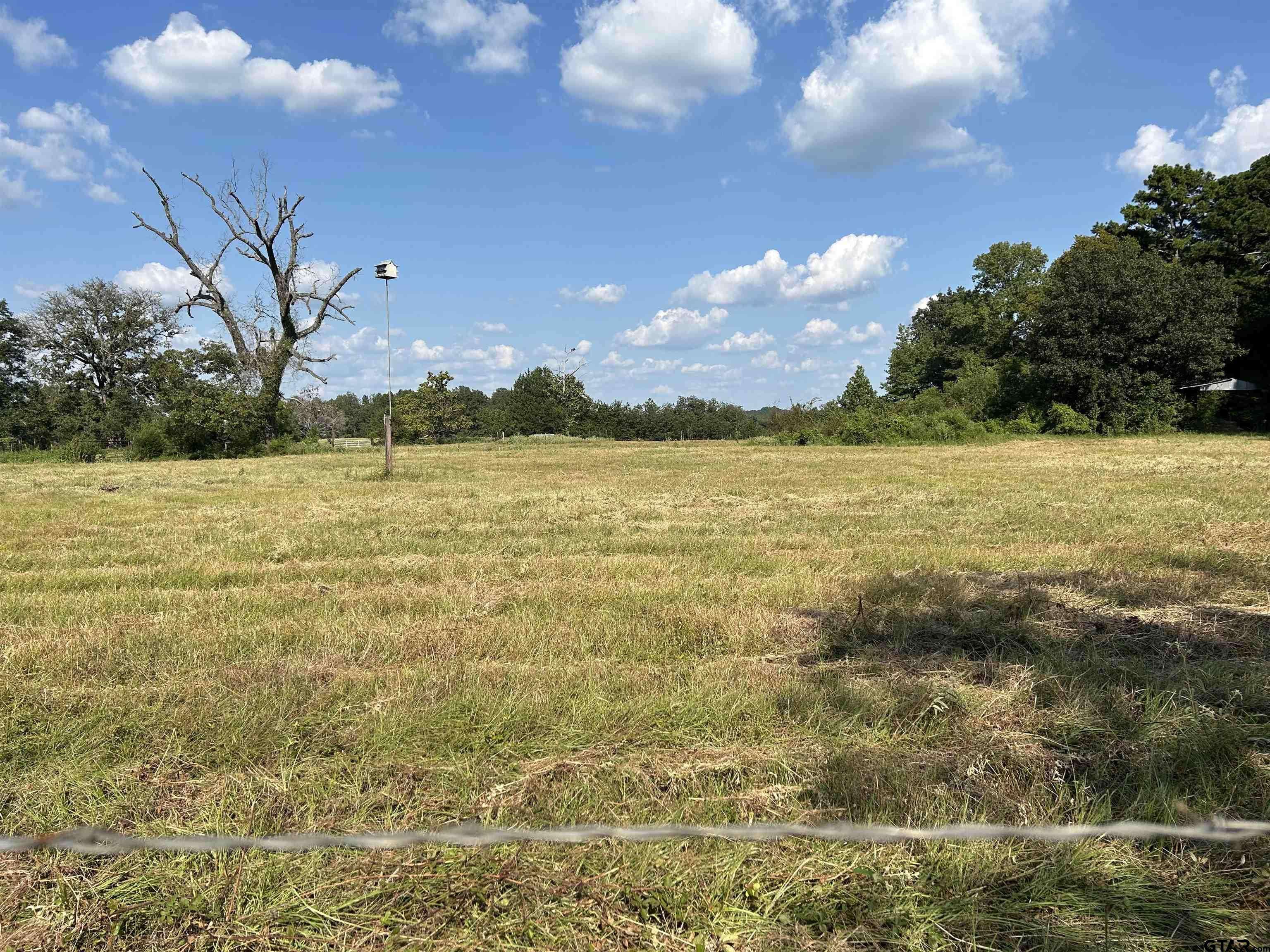 Troup, TX 75789,TBD County Road 2115 Lot 2