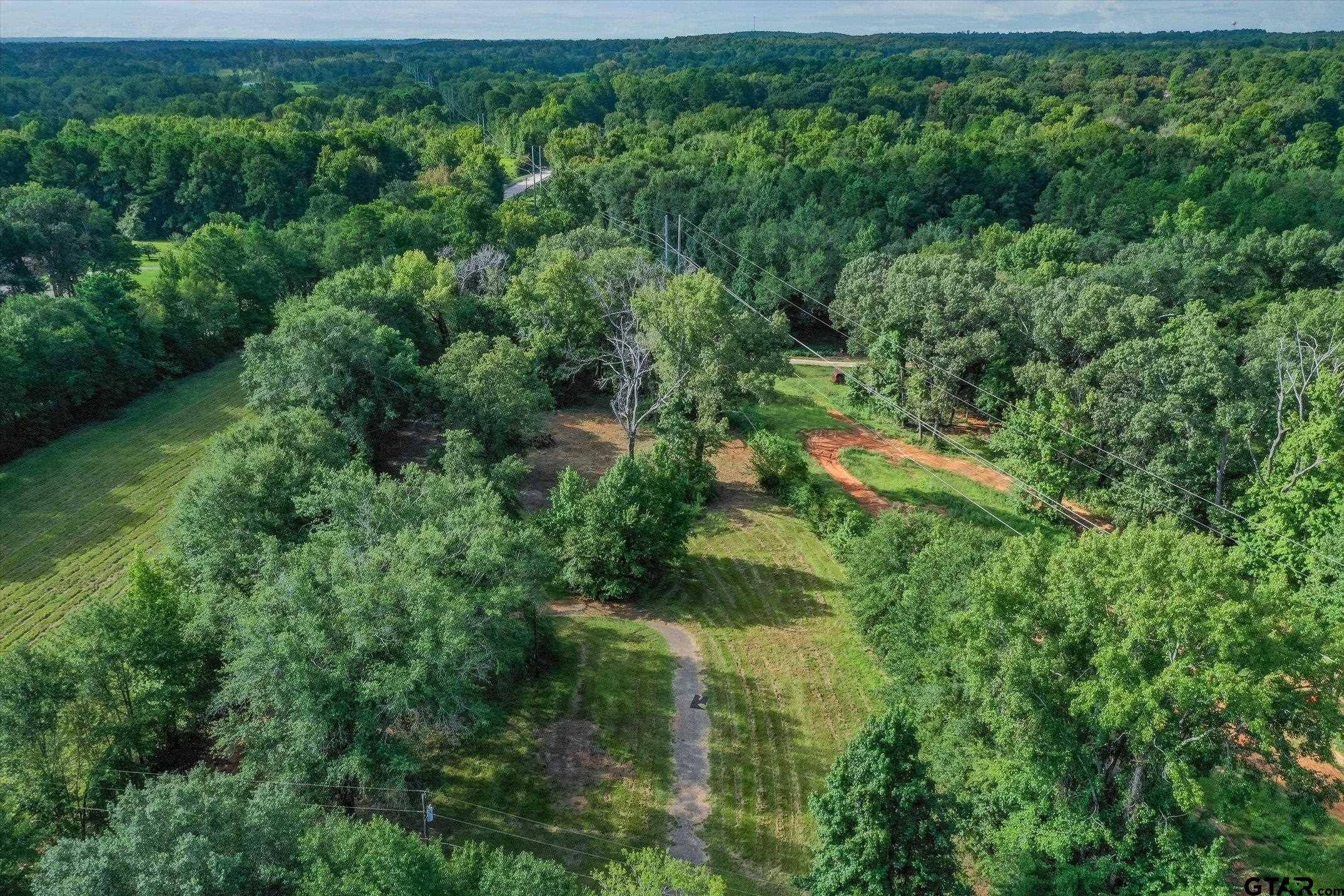 Whitehouse, TX 75791,Lot 2 Willingham Rd