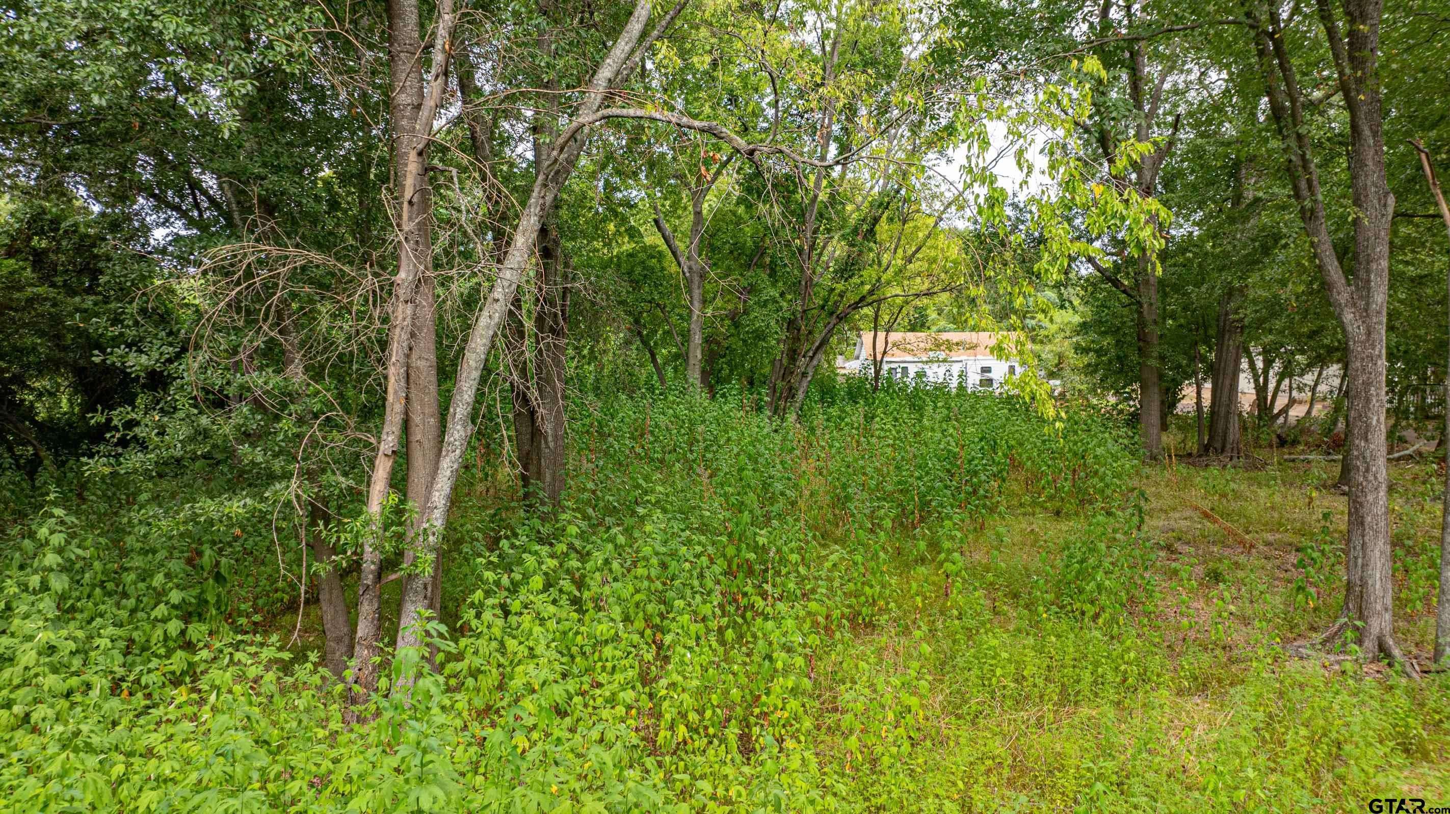 Longview, TX 75601,TBD Brown St.