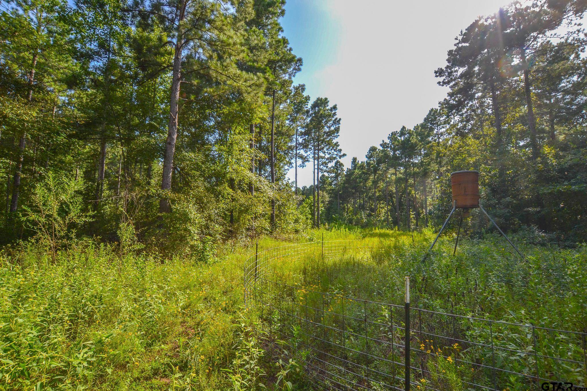 Frankston, TX 75763,Tract 17 CR 4224