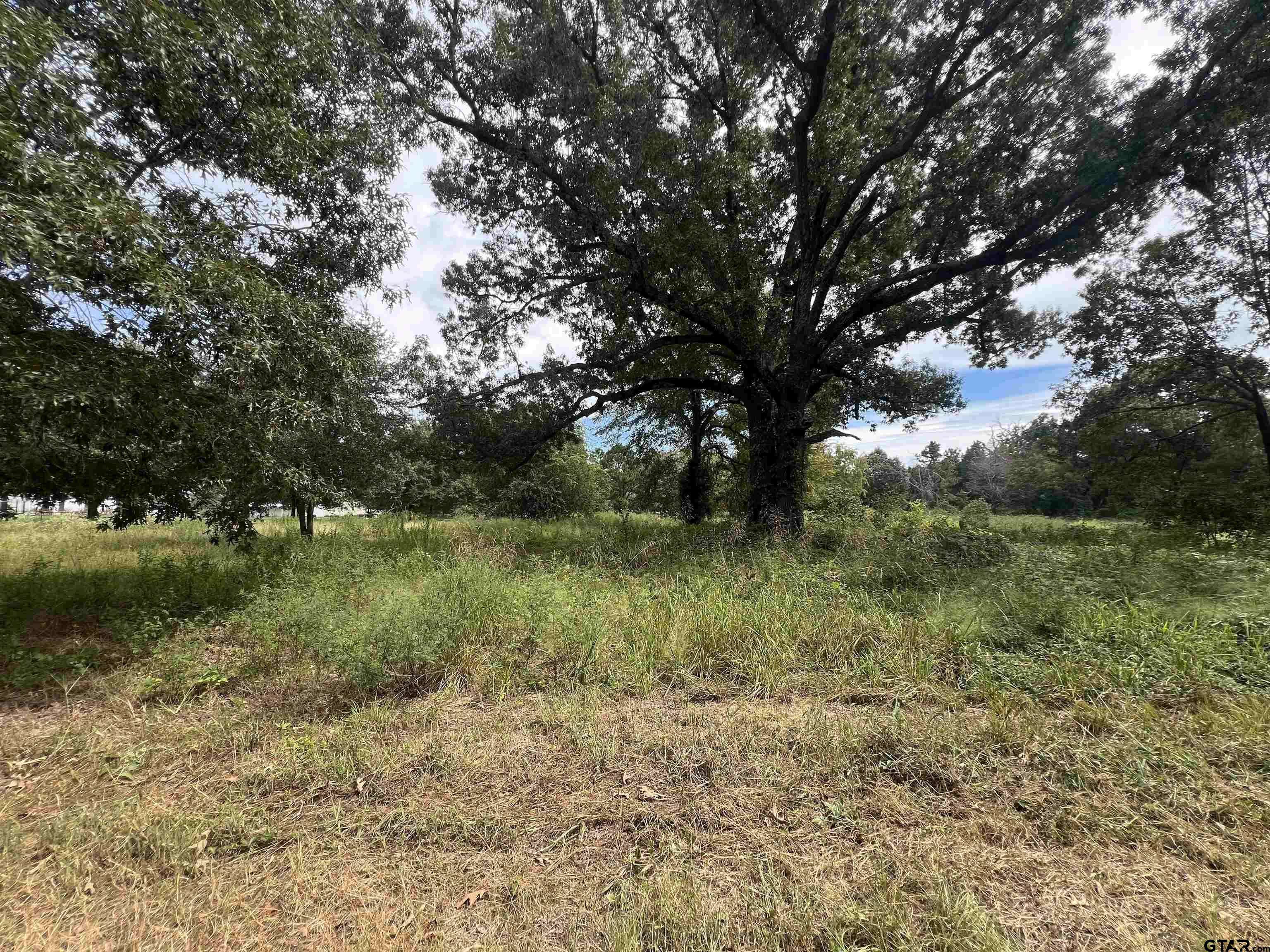 Lindale, TX 75771,14694 C R 424