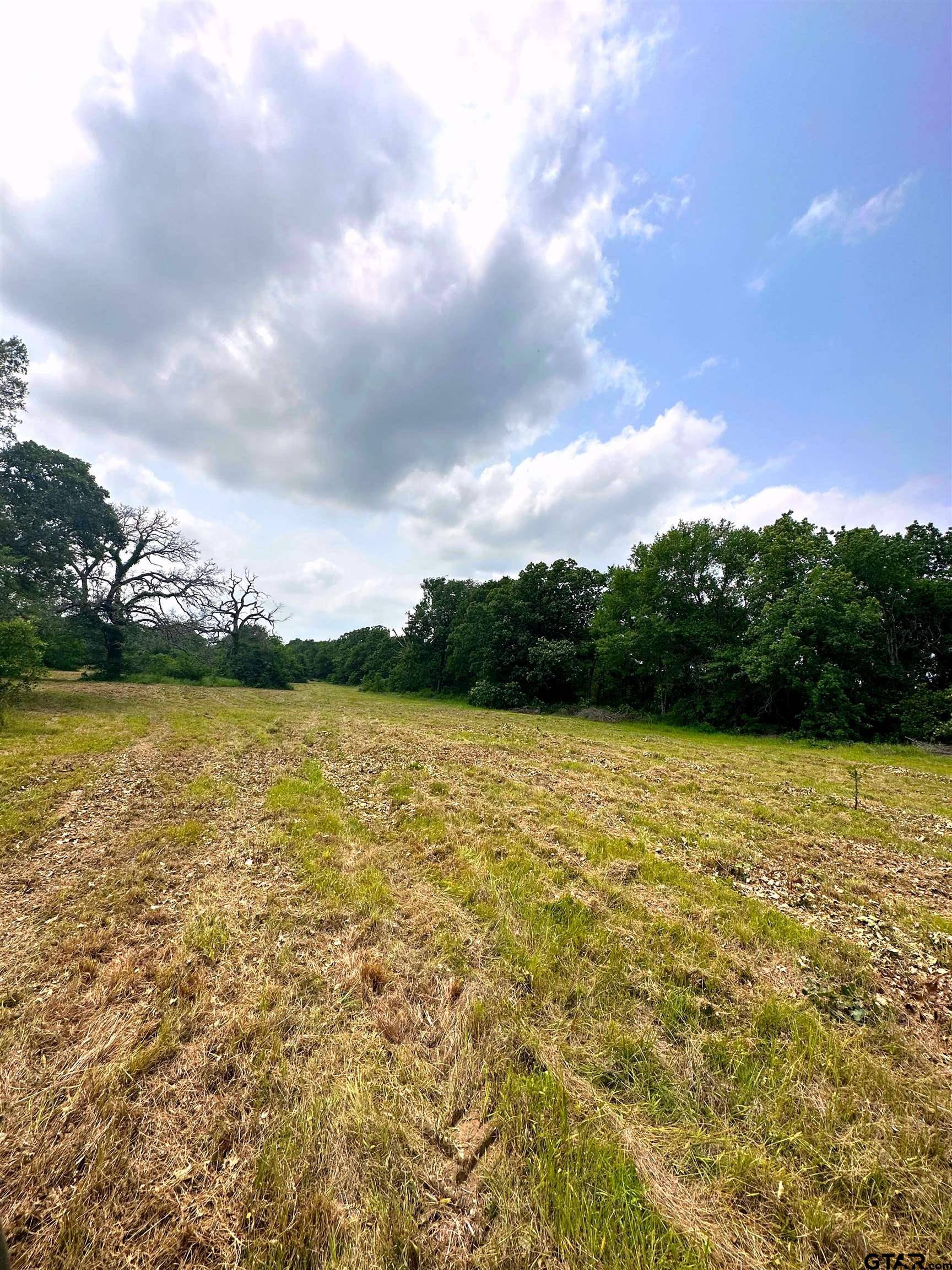 Athens, TX 75751,TBD CR 1405 Lot 8