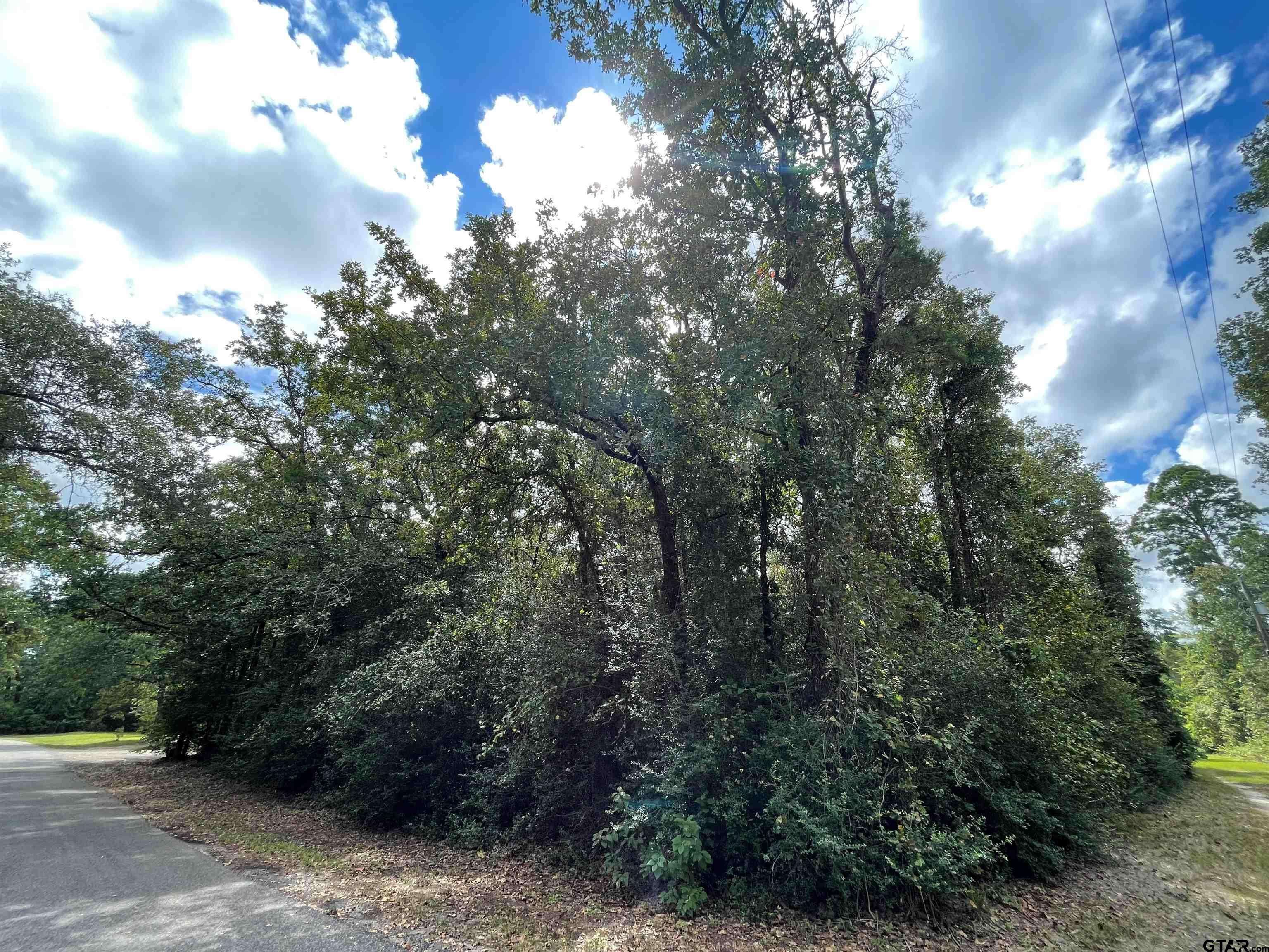 Holly Lake Ranch, TX 75765,TBD Starleaf Lane