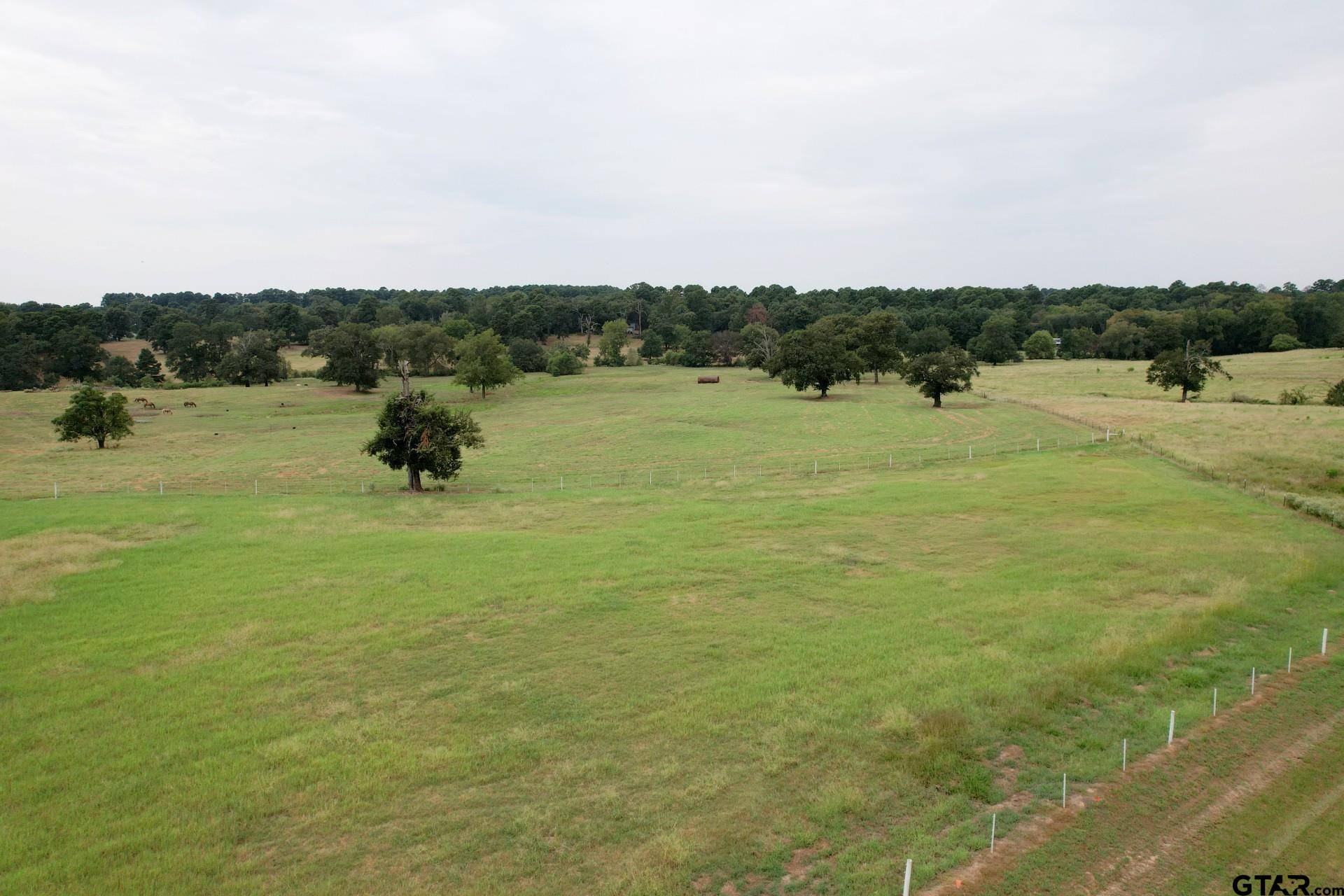 Quitman, TX 75783,TBD FM 778