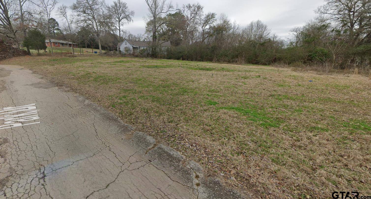 Overton, TX 75684,TBD E Park Dr