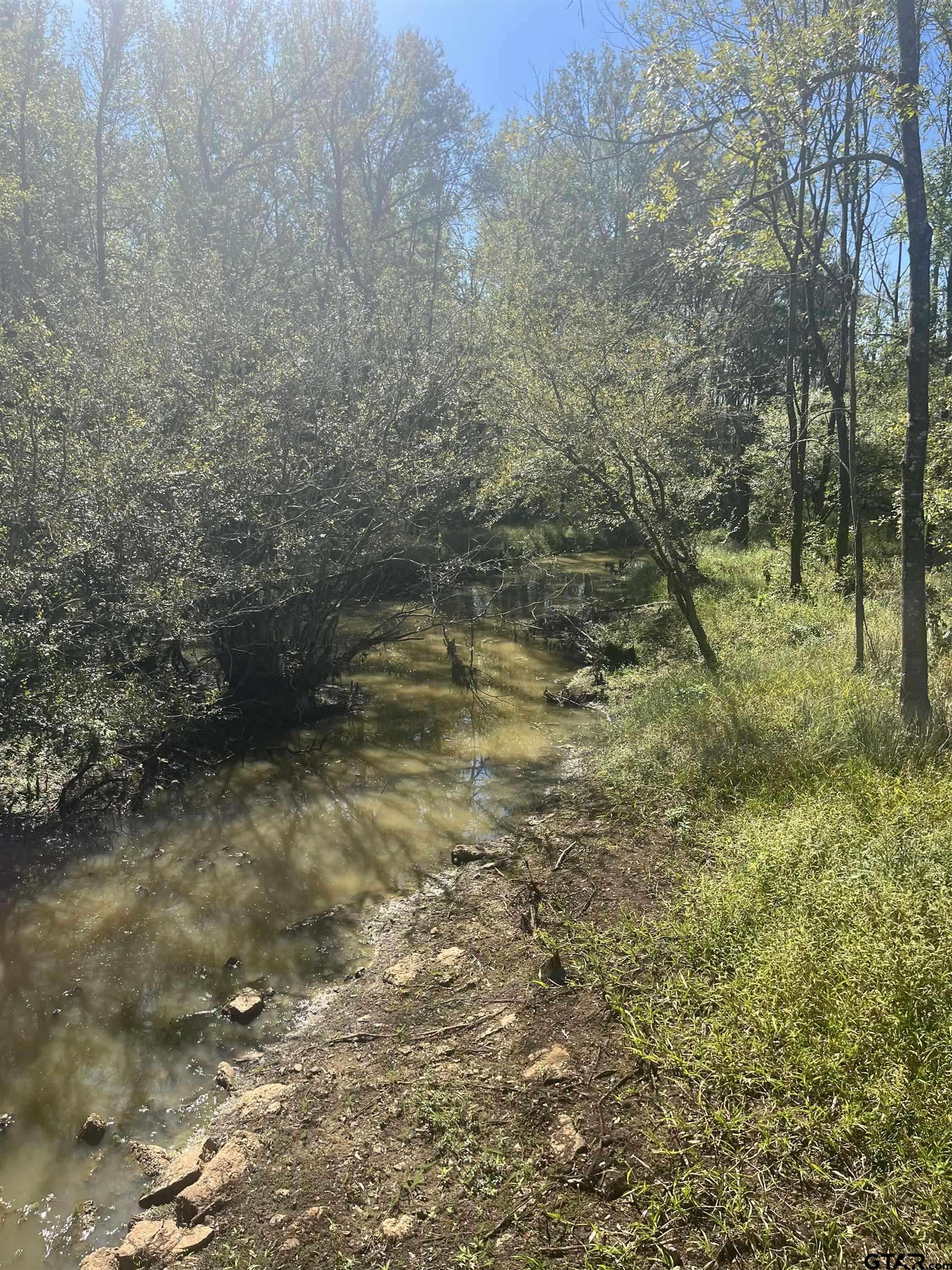 Marshall, TX 75672,TBD FM 2625