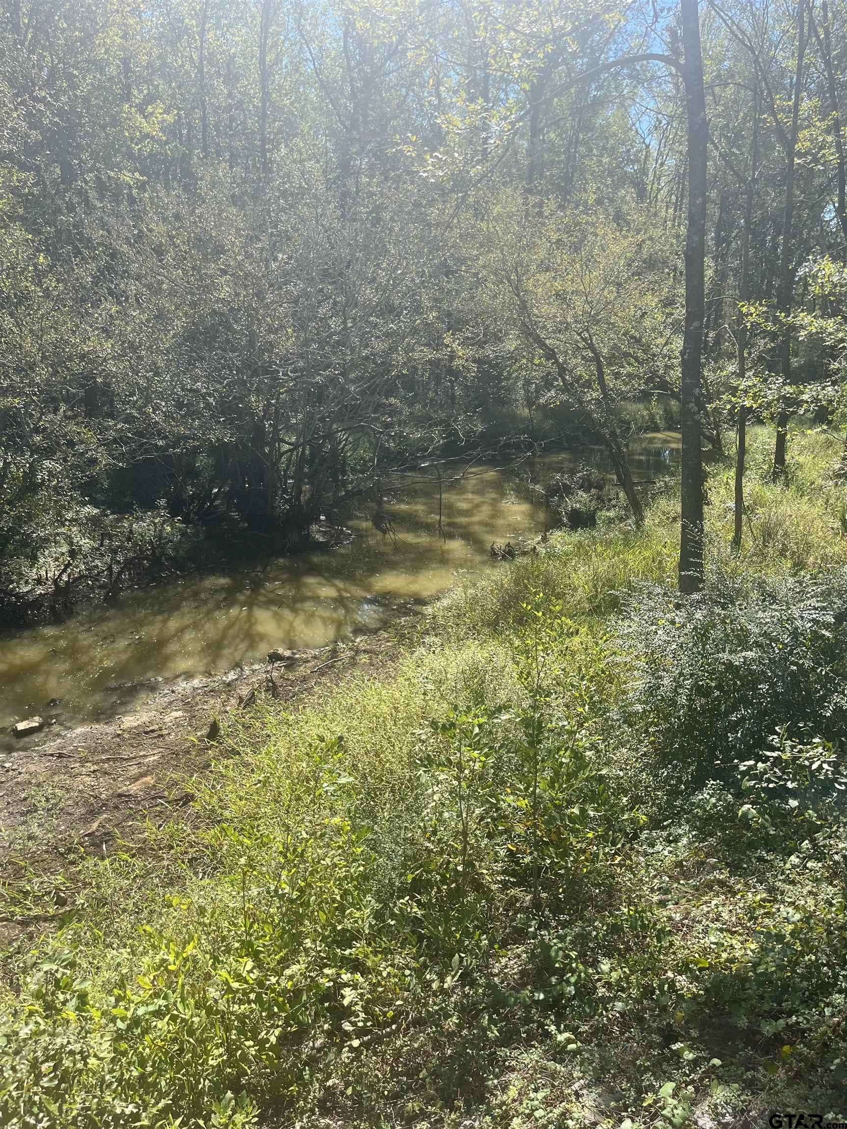 Marshall, TX 75672,TBD FM 2625