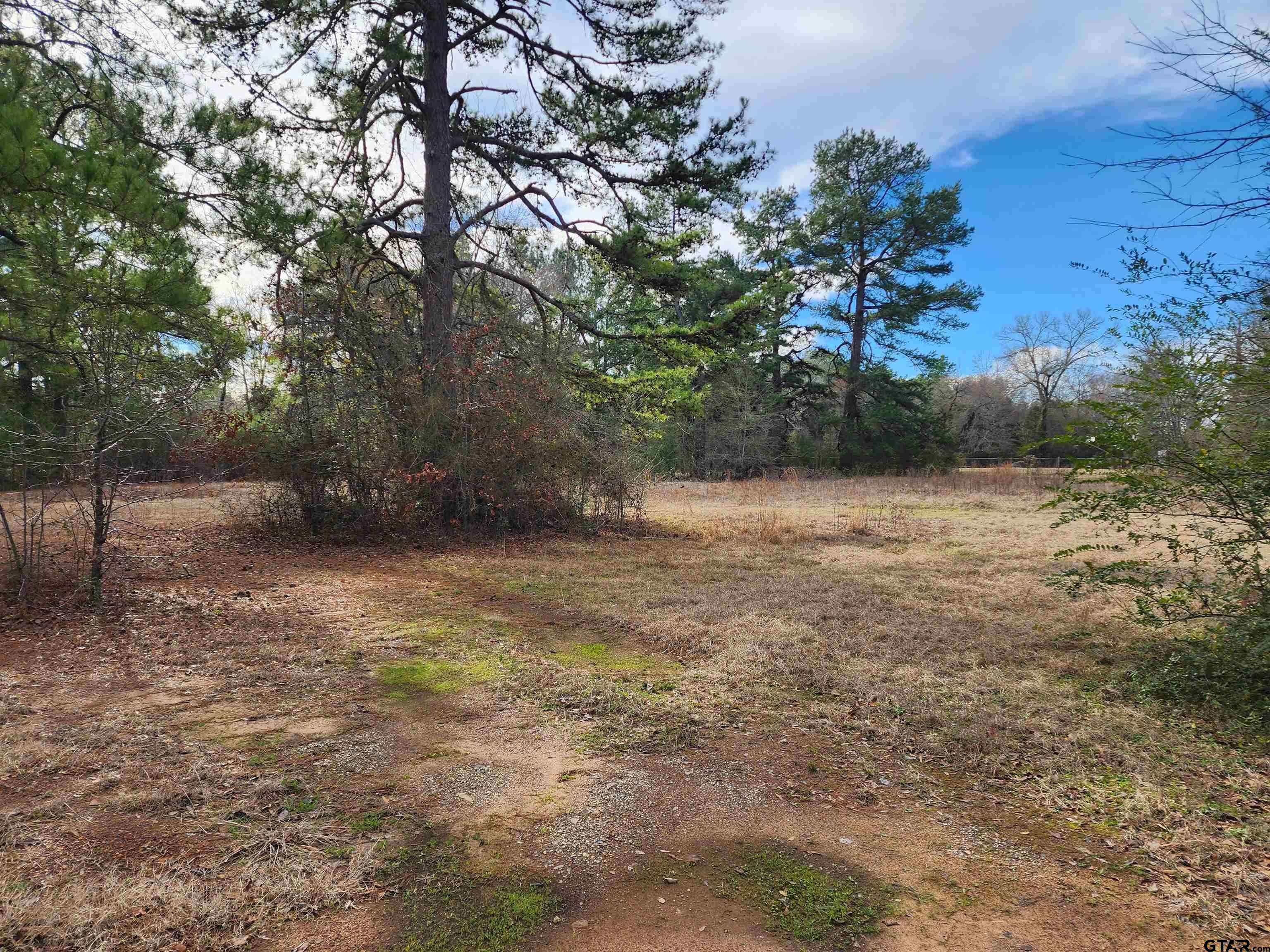 Kilgore, TX 75662,TBD Johnson Road