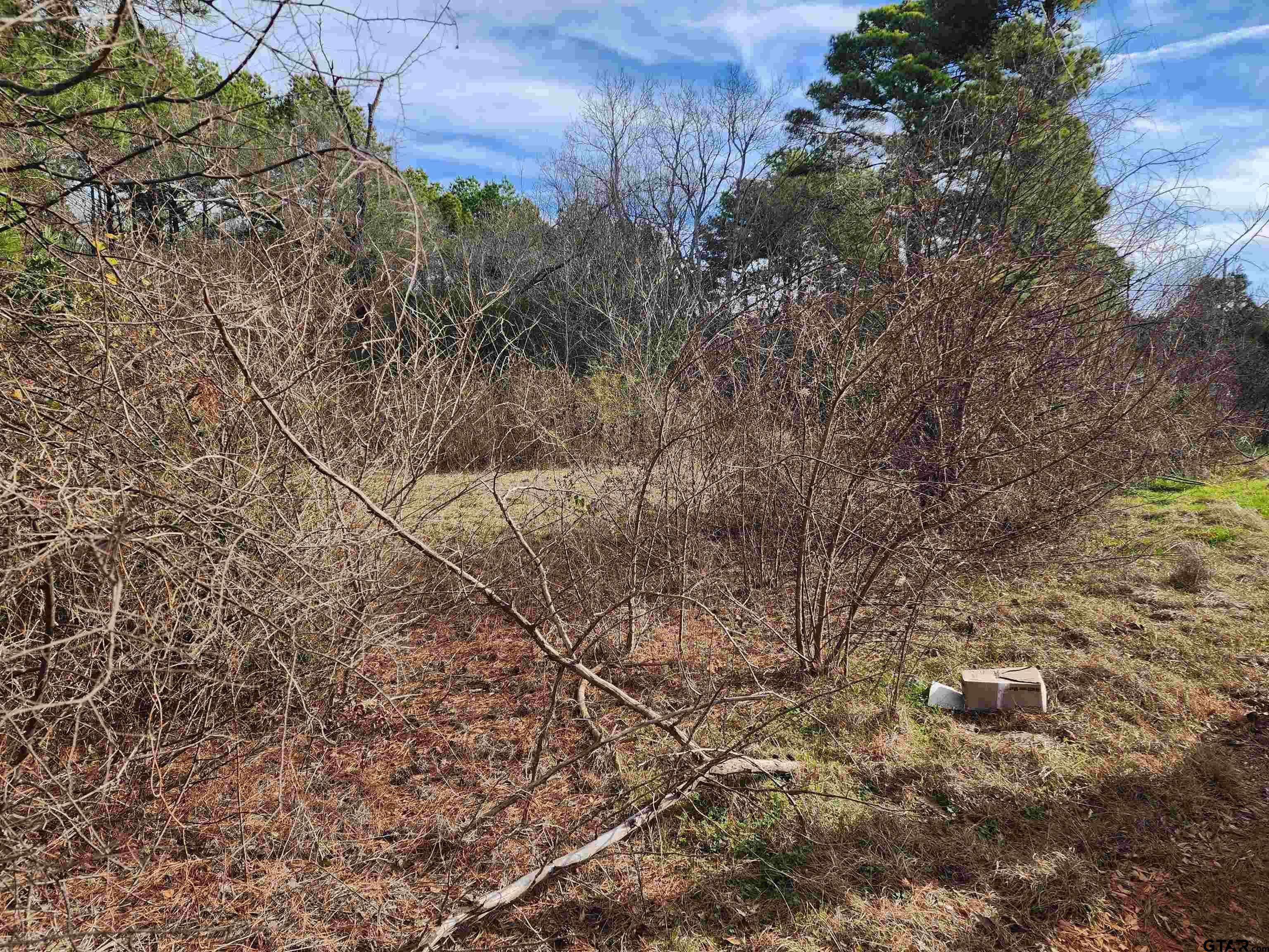 Kilgore, TX 75662,TBD Fredonia