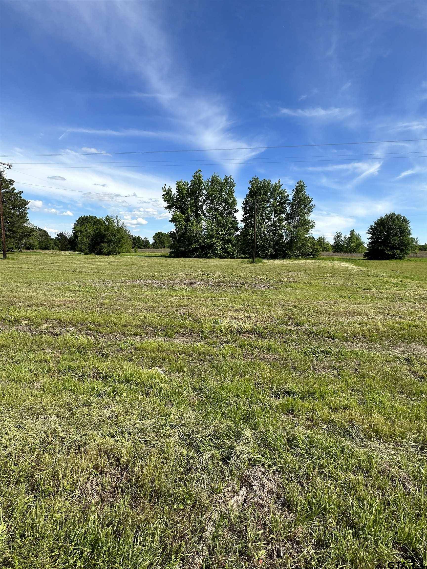 Grand Saline, TX 75140,TBD FM 17