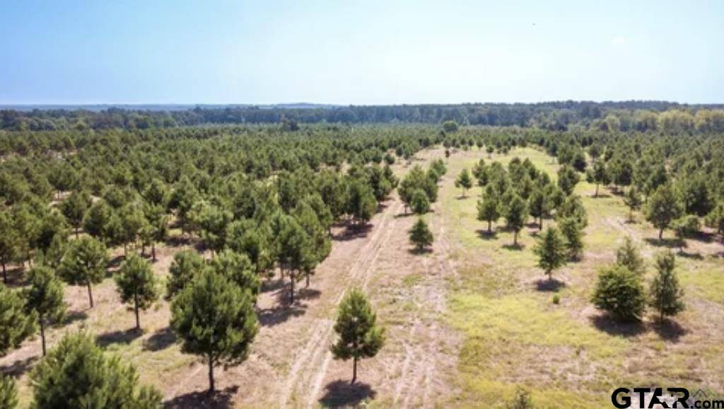 Gilmer, TX 75644,2323A Finch Road