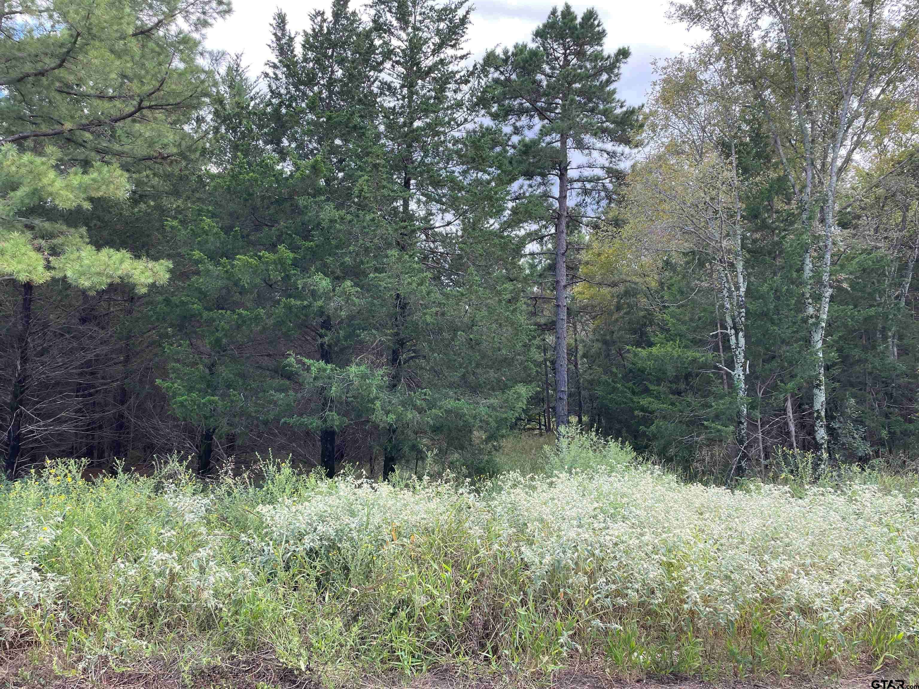 Lindale, TX 75771,Tbd Cedarpark Place Lot 25