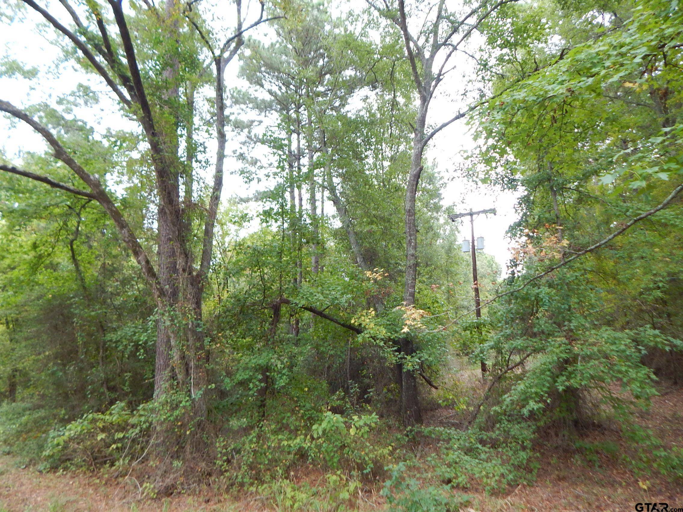 Big Sandy, TX 75755,TBD 70.78 RED MAPLE RD