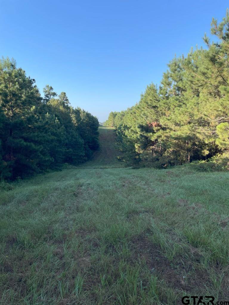 Center, TX 75935,TBD (Lot 55) County Road 1060