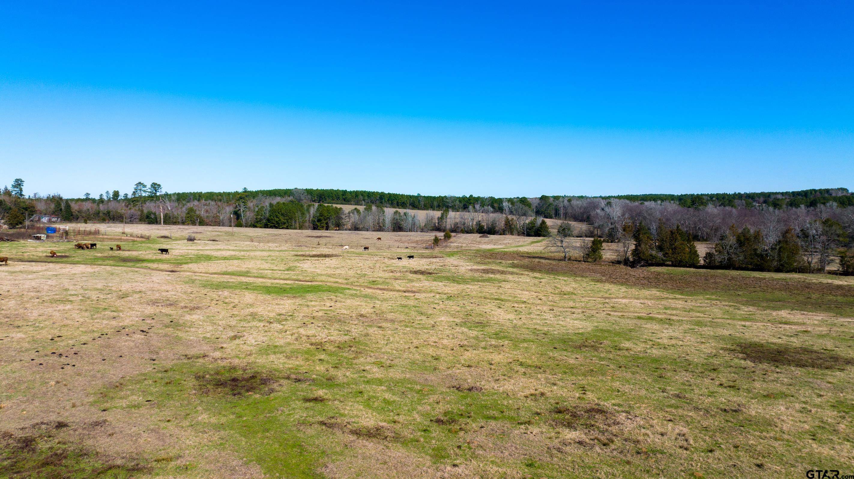 Linden, TX 75563,TBD CR 1346