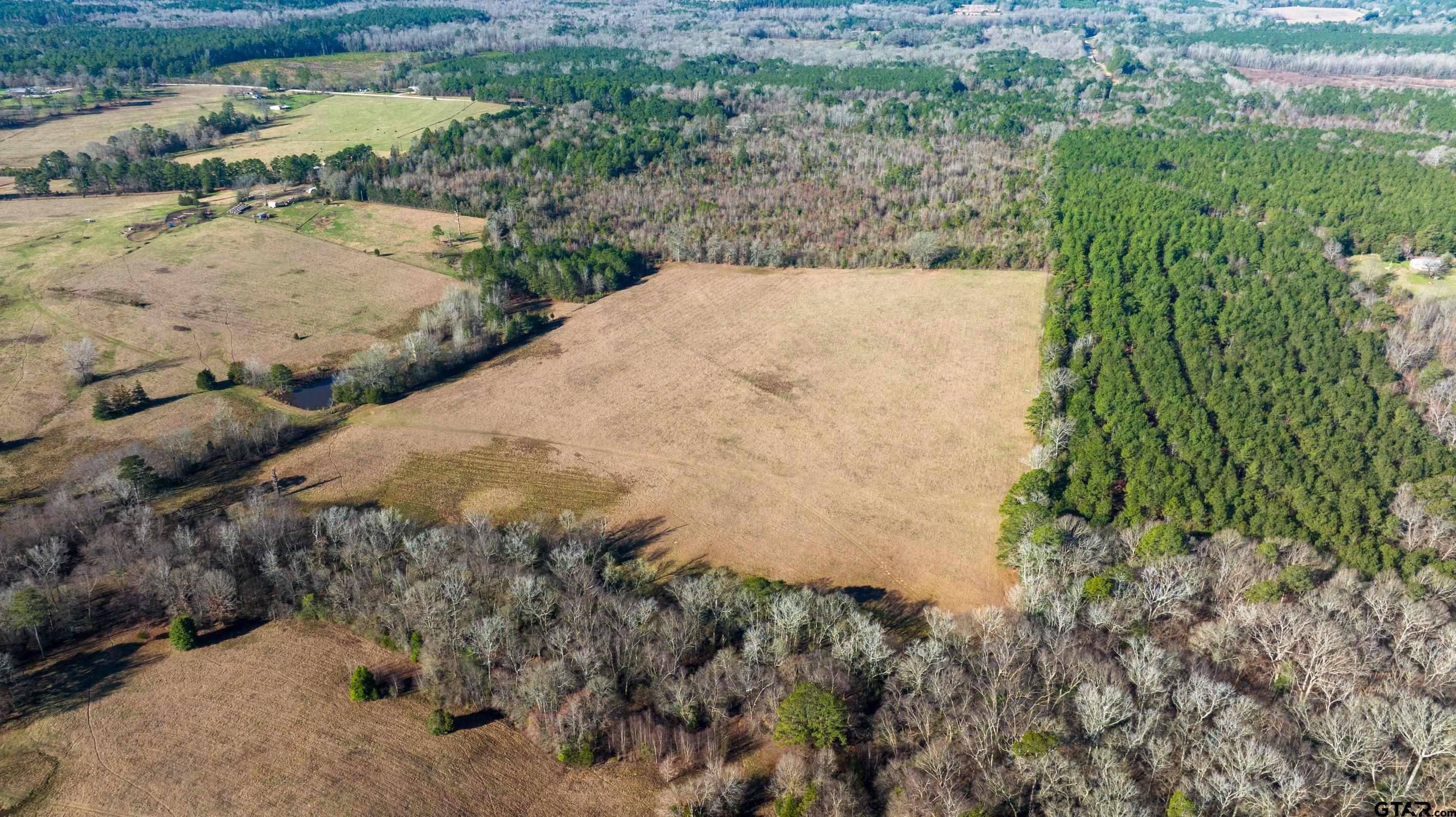 Linden, TX 75563,TBD CR 1345