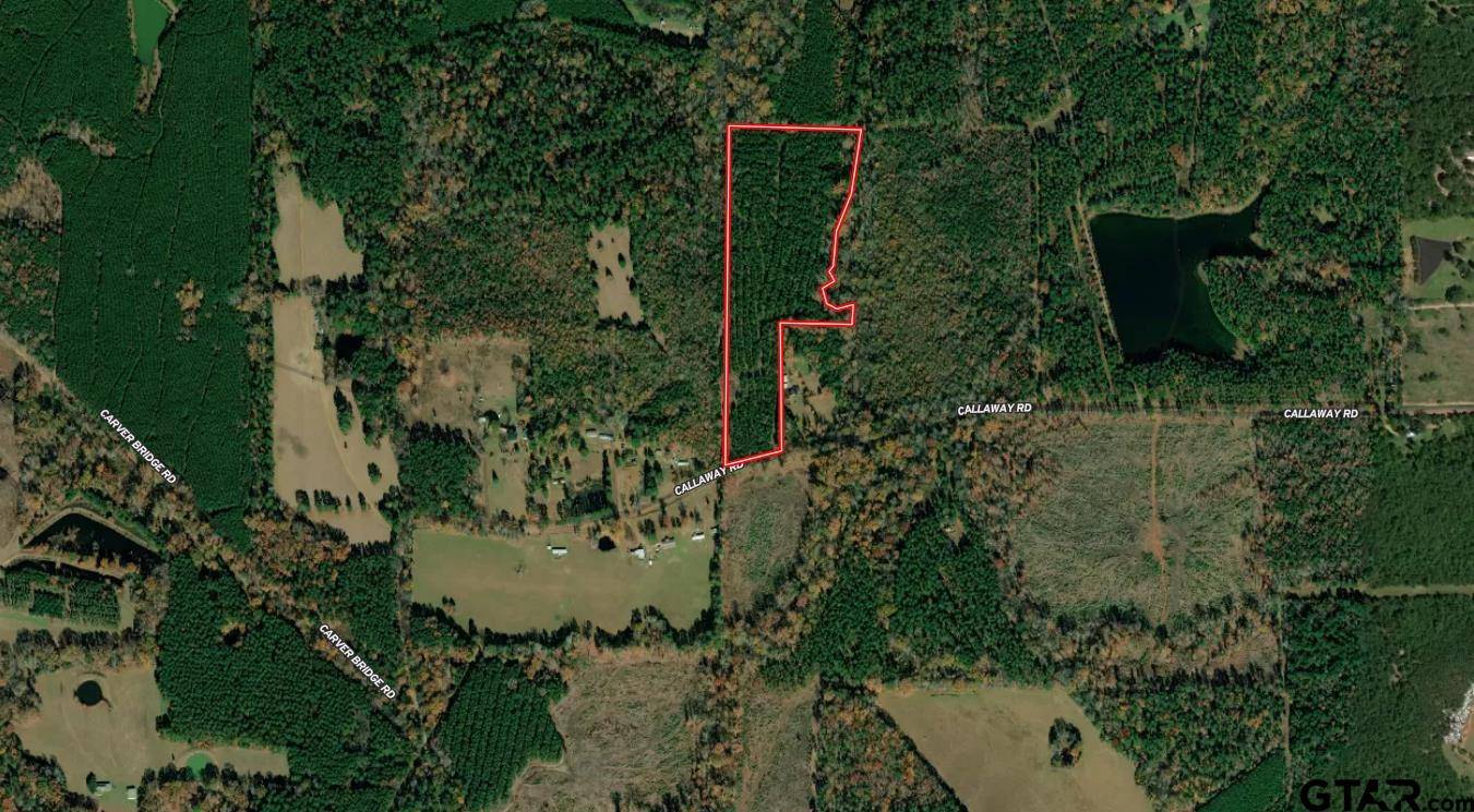 Marshall, TX 75670,Calloway Dr
