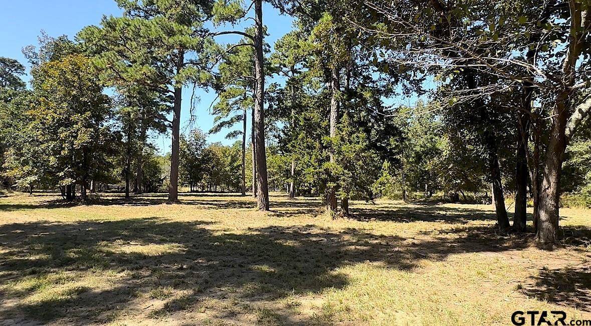 Scroggins, TX 75480,Lots 34-37 King Charles Rd