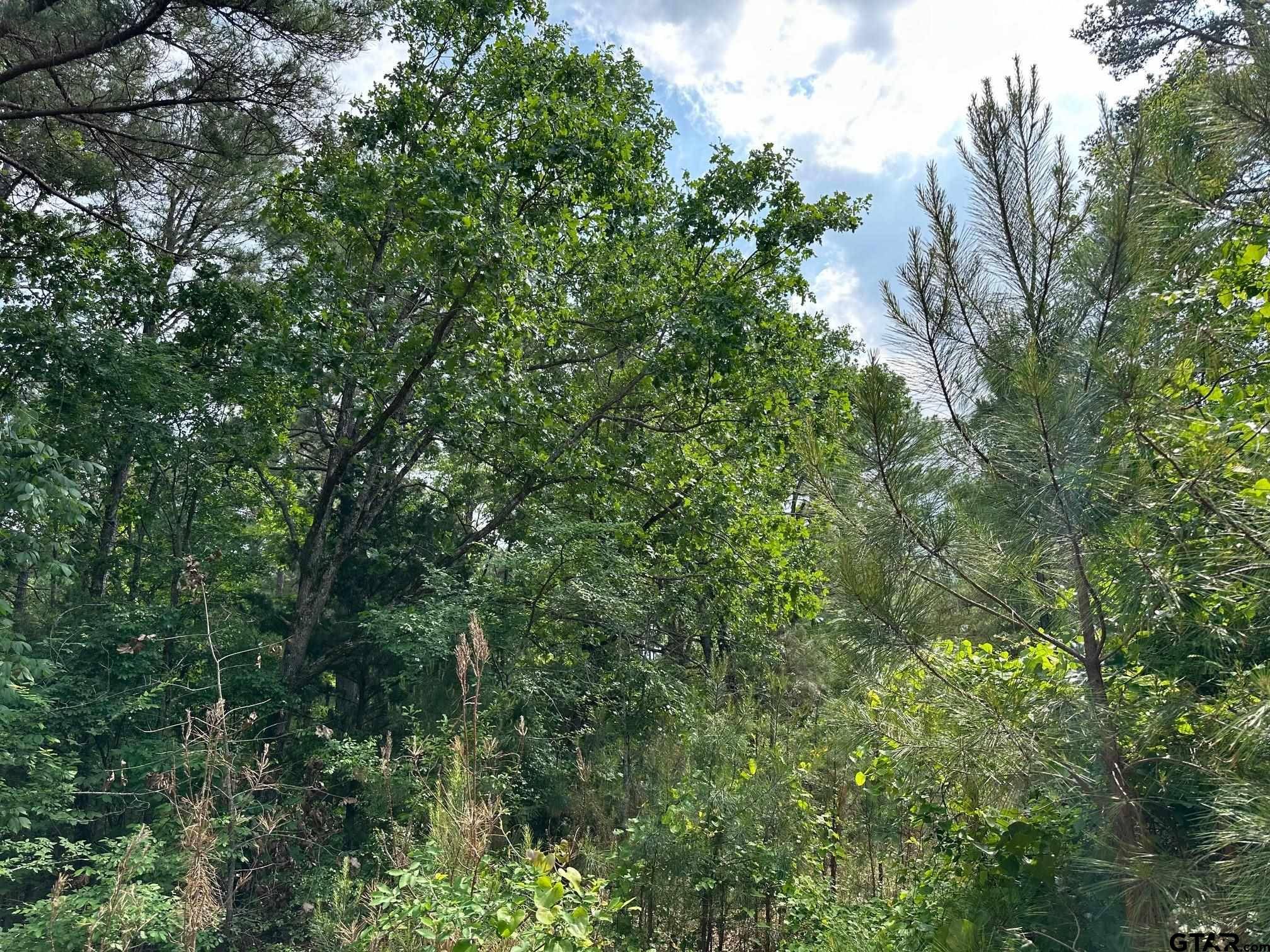 Flint, TX 75762,16837 Pine Hollow