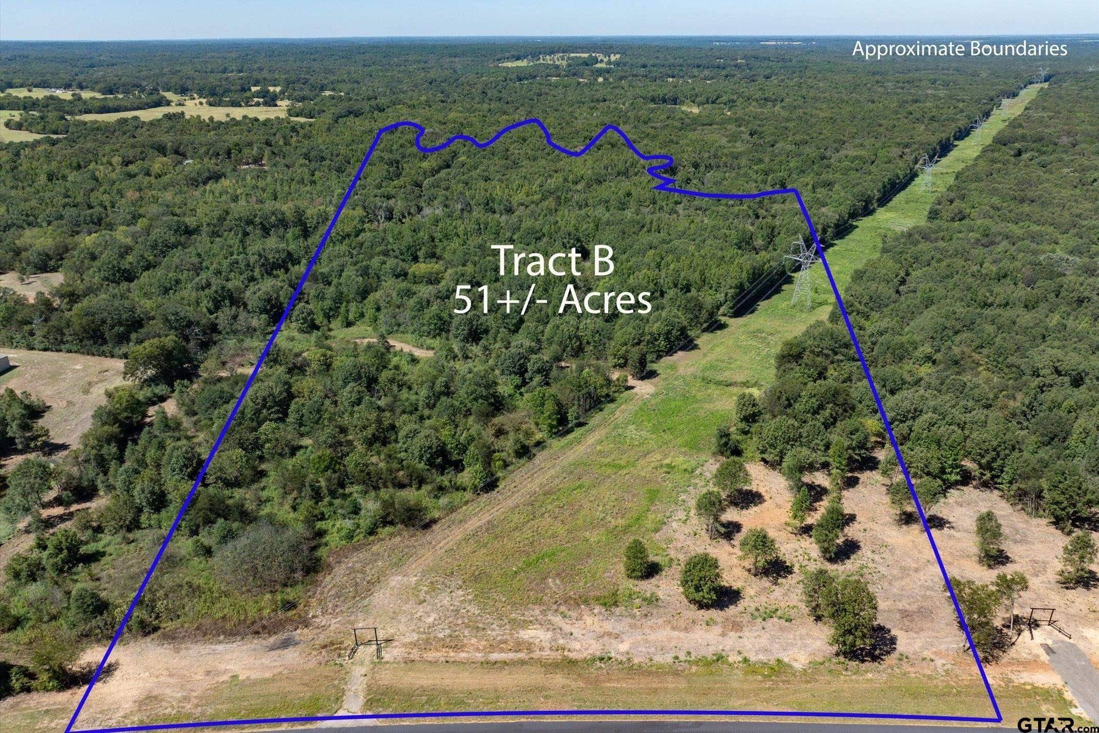 Mineola, TX 75773,Tract B Hwy 69